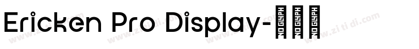 Ericken Pro Display字体转换